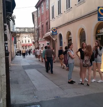 Arco Arina プーラ